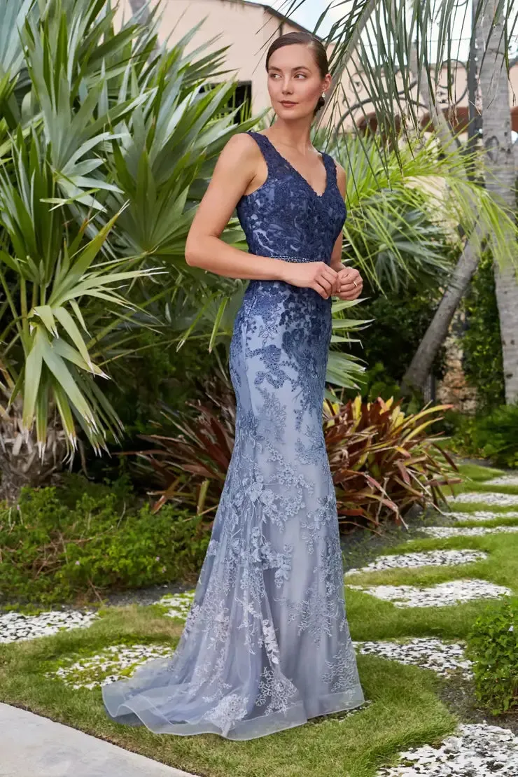 Elegant Ombre Embroidered Allover Lace Fit-and-Flare Gown - Montage 122903